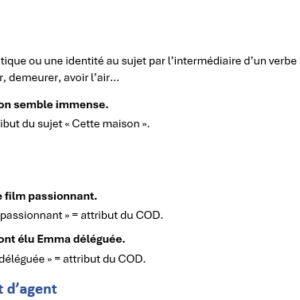 Maitriser les fonctions grammaticales – Image 6